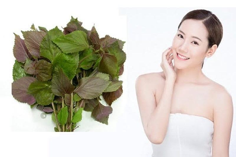 15 cách trị mụn tại nhà hiệu quả từ thiên nhiên 69 15 cách trị mụn tại nhà hiệu quả từ thiên nhiên