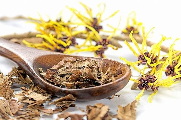15 cách trị mụn tại nhà hiệu quả từ thiên nhiên 70 Cây phỉ giúp hỗ trợ làm sạch da tại nhà