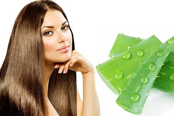 Công thức dưỡng tóc bằng nha đam