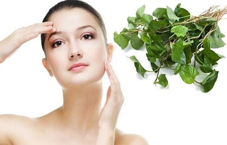 5 nguyên liệu trị thâm mụn tại nhà giá rẻ - dễ tìm 53 Rau diếp cá kết hợp cùng sữa chua giúp da mềm mượt